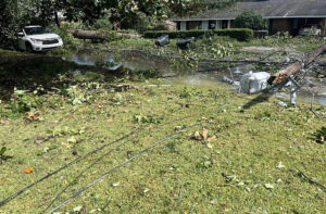 Downed Power Lines