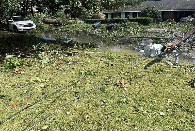 Downed Power Lines