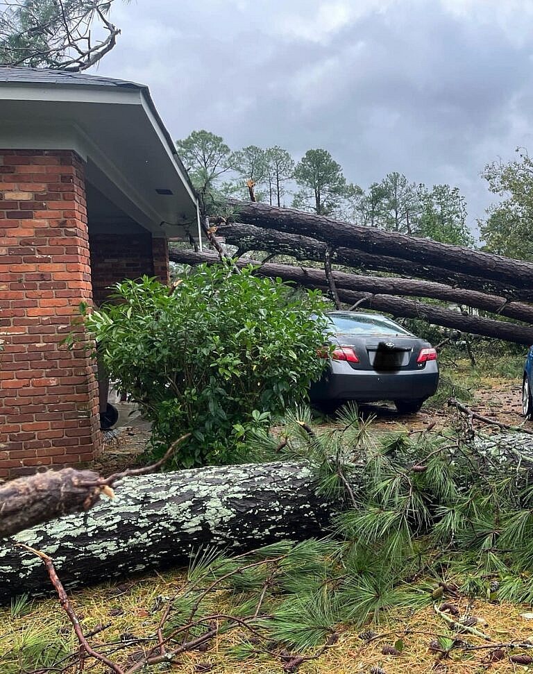 Tree Fallen on Roof
